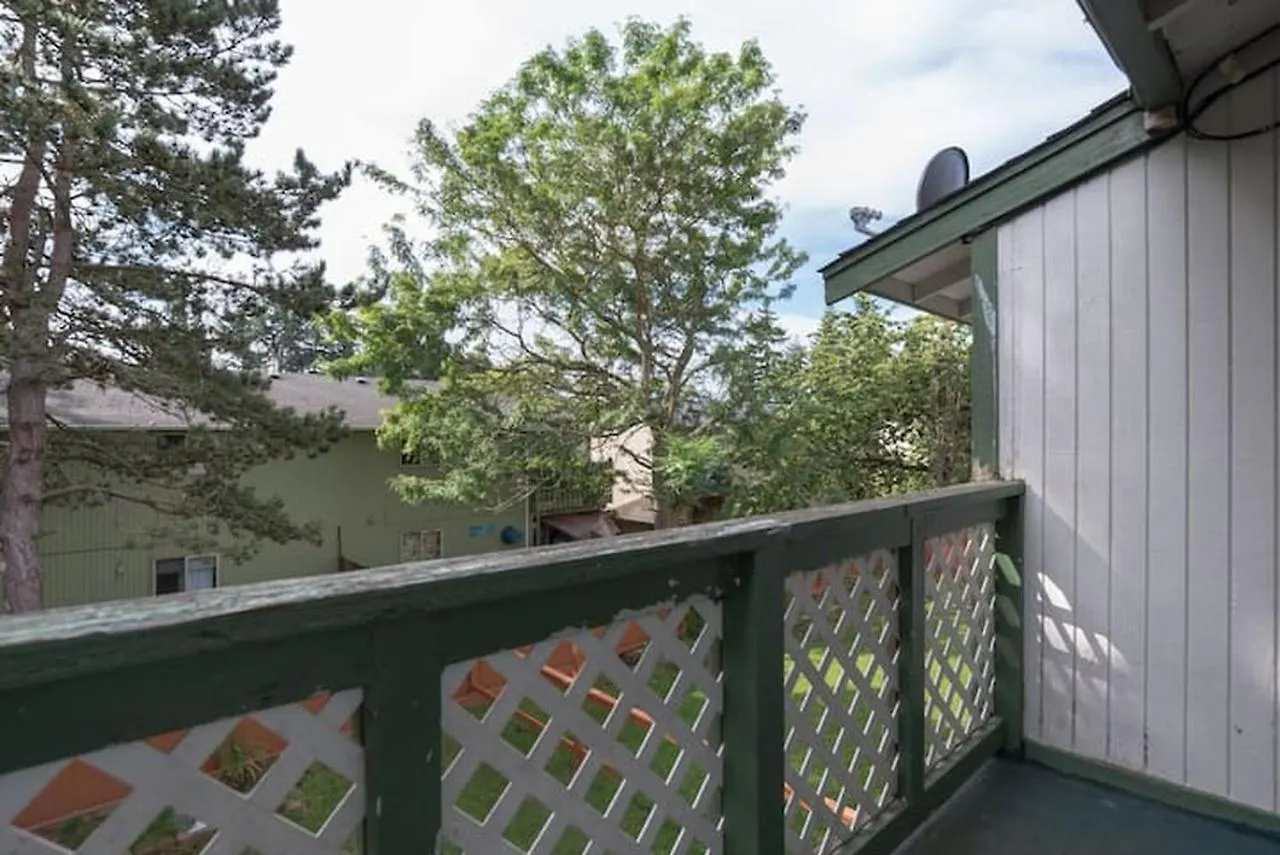 Contemporary, Marine 2Bd/1Ba Apartment C In Kent 0*,  United States